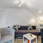 アパート Lueg Ins Wiesental シュタイネン