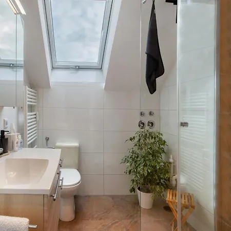 Lueg Ins Wiesental Apartment Steinen (Lorrach)