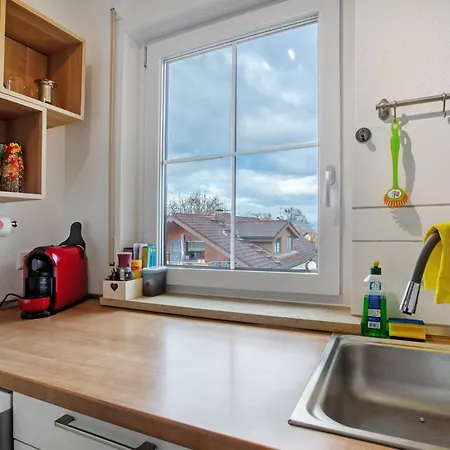 Lueg Ins Wiesental Apartment Steinen (Lorrach)